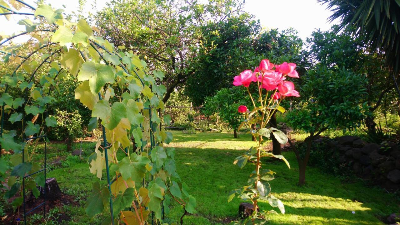 B&B Casanera Riposto ภายนอก รูปภาพ