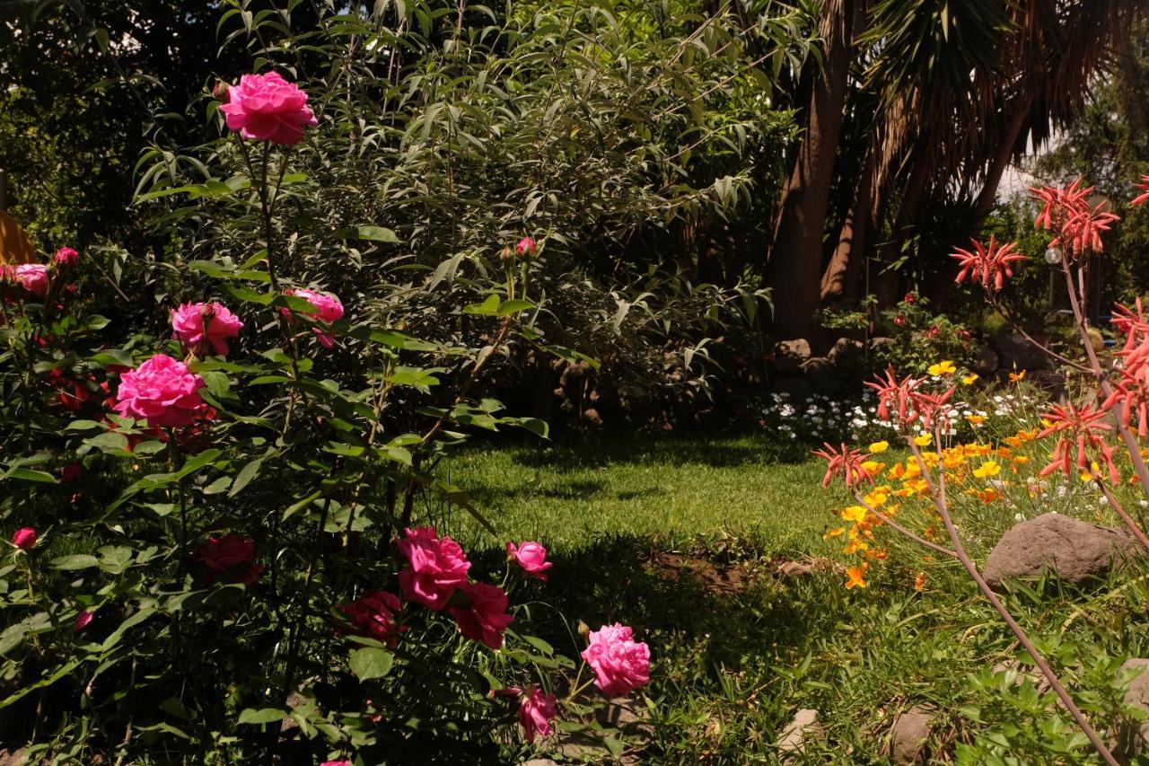 B&B Casanera Riposto ภายนอก รูปภาพ