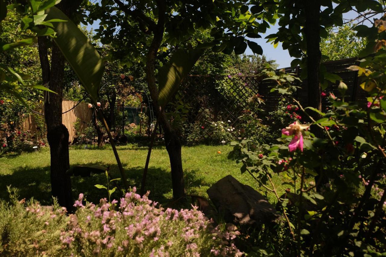 B&B Casanera Riposto ภายนอก รูปภาพ