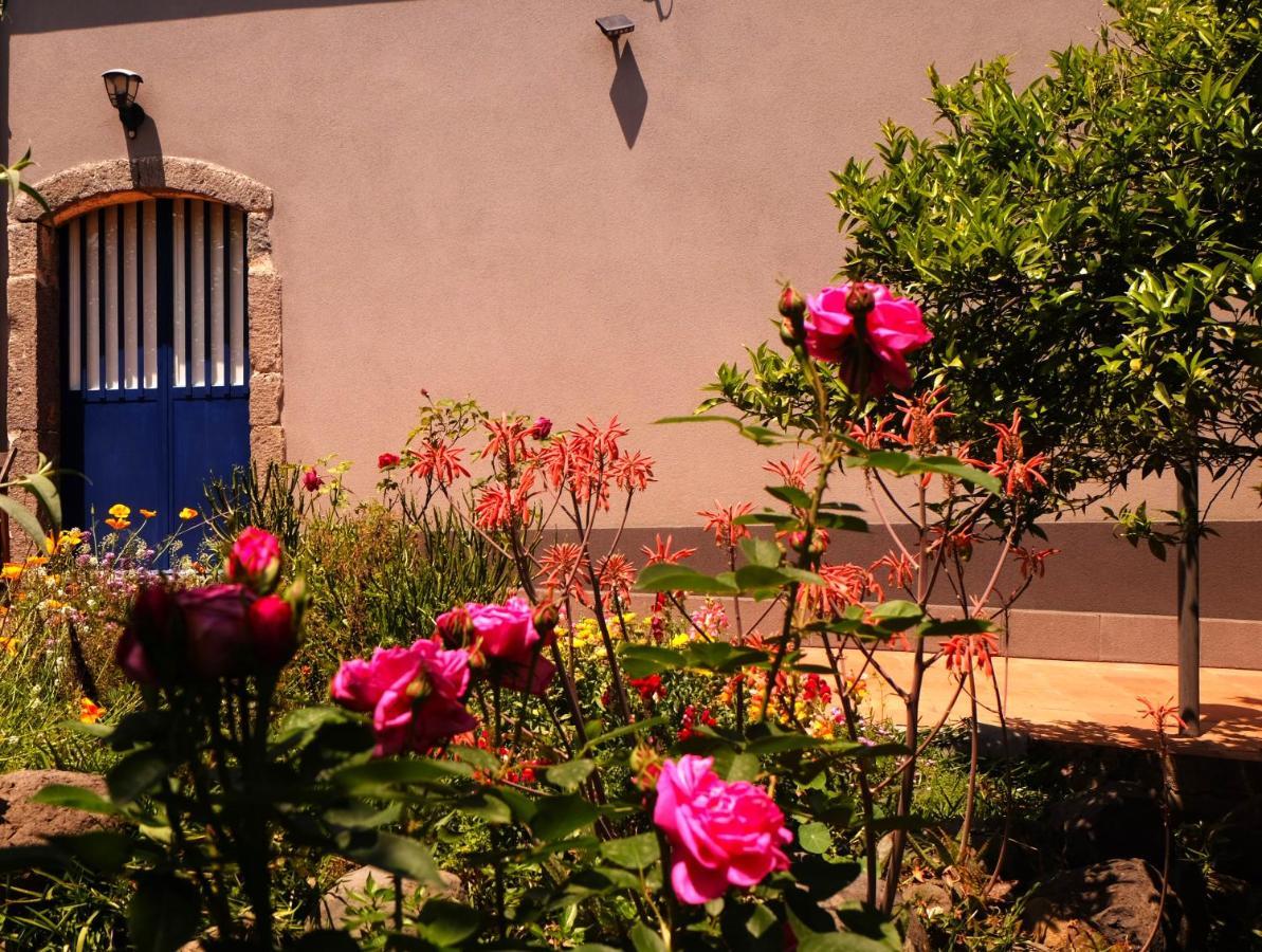 B&B Casanera Riposto ภายนอก รูปภาพ